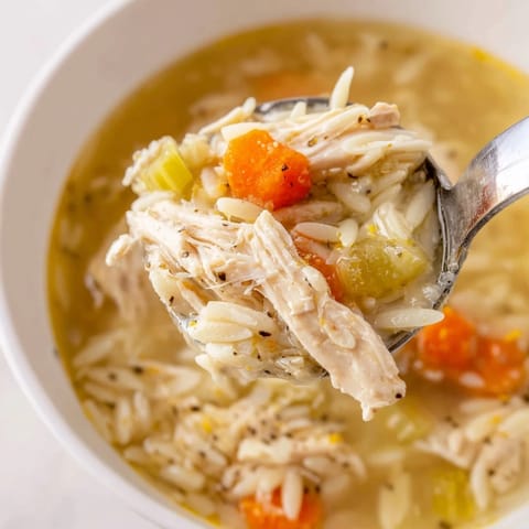 A close-up of Lemon Pepper Chicken Orzo Soup in a rustic bowl, with orzo pasta and carrots in a savory broth.